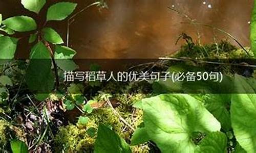 稻草人优美句子短句摘抄大全四年级下册_稻草人优美句子短句摘抄大全四年级