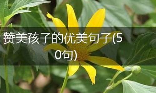 欣赏孩子的优美句子短句_欣赏孩子的优美句子