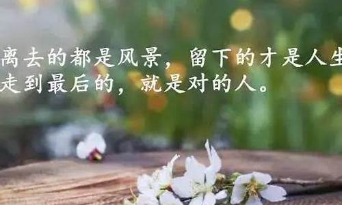 看淡感情的句子_看淡感情的句子经典语录