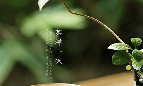 茶语静心优雅的句子活得精致_茶语静心优雅的句子