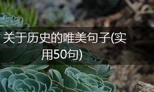 关于历史的文案句子_关于历史的文案句子简短