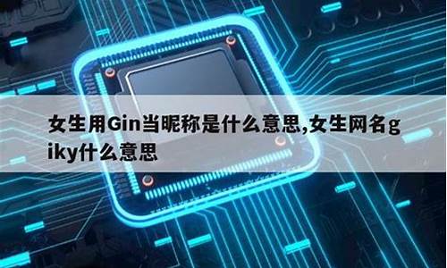 女生用gin当昵称是什么意思