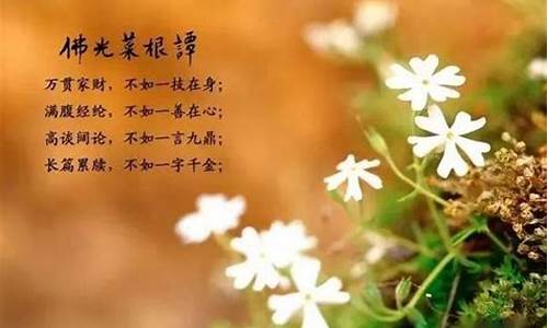 菜根谭经典名句及感悟20字_菜根谭经典名句及感悟20字左右