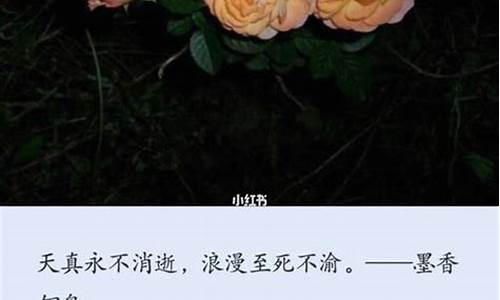 文案短句浪漫至死不渝_文案短句浪漫至死不渝的句子